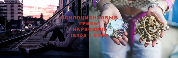 дмт Горнозаводск